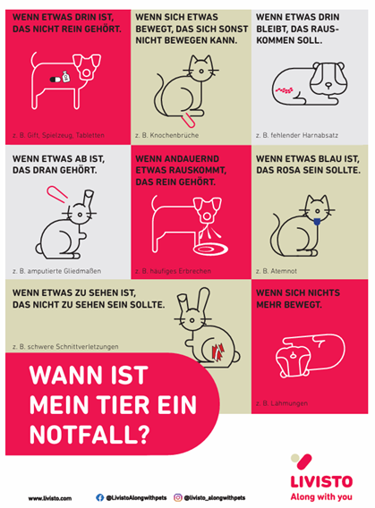 Infografik zu Haustier-Notfällen